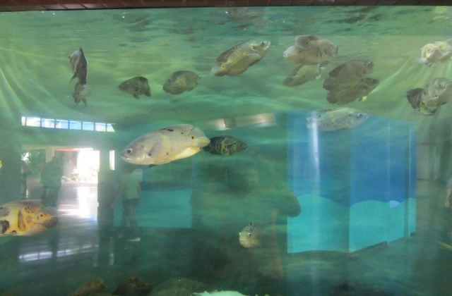 Aquarium Saint Domingue Republique Dominicaine 2